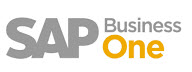 SAP Partner